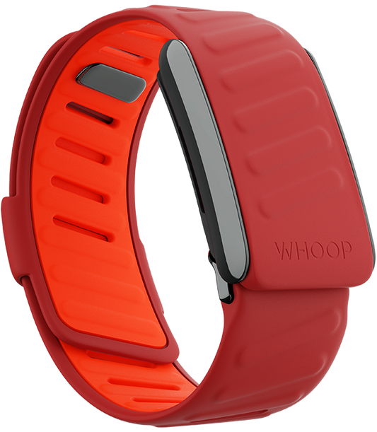"Red Whoop Sportflex Band – Lightweight, durable, and designed for optimal performance. Shop the best Whoop bands in Qatar. Perfect for fitness tracking and active lifestyles."
"سوار ووب سبورتفلكس الأحمر – خفيف الوزن ومتين، مصمم للأداء الأمثل. احصل على أفضل سيور ووب في قطر. مثالي لتتبع اللياقة وأنماط الحياة النشطة."