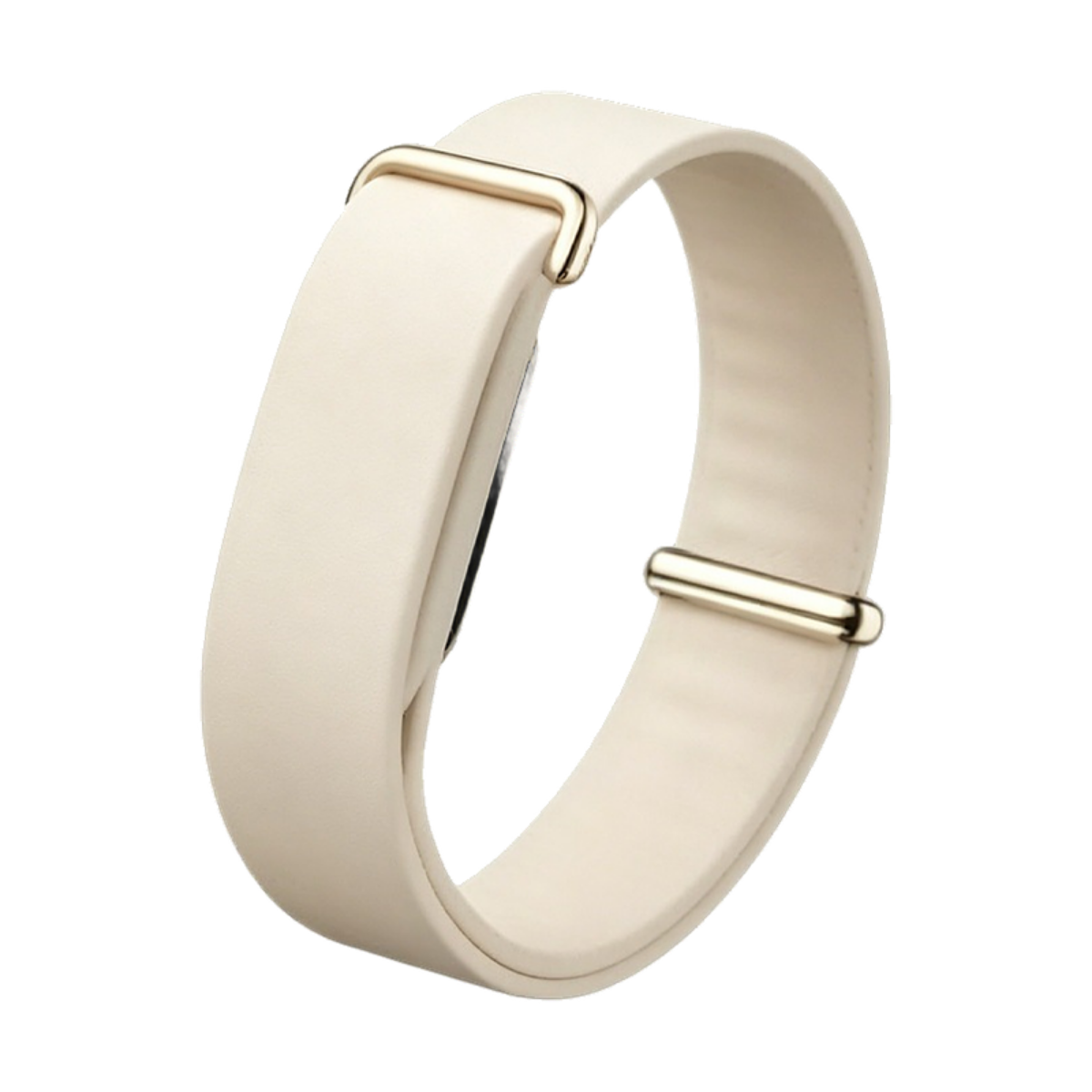Google Fitbit Air Soft Gold strap