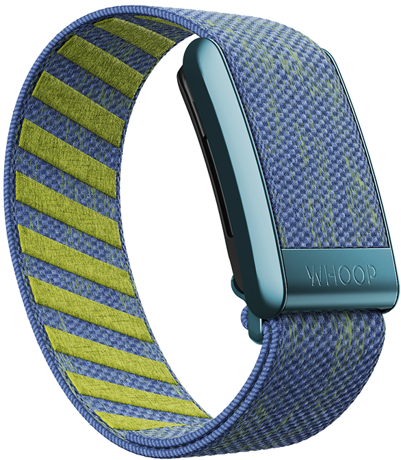 Shore Break SuperKnit WHOOP Band – Durable, Breathable, and Stylish Band for WHOOP 4.0 Fitness Tracker sold by strapcostore