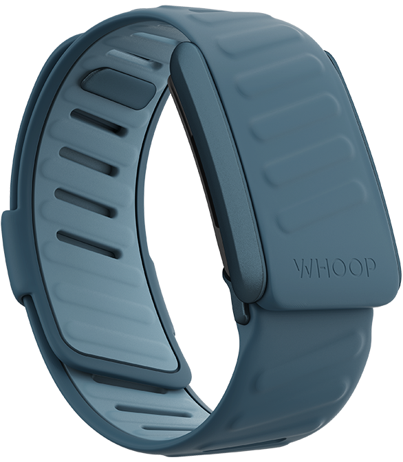 SportFlex Dash Color Band for WHOOP Bands at Strapco Store  Shop the SportFlex Dash Color band for WHOOP bands at Strapco Store, designed to maximize your performance with WHOOP® 4.0.