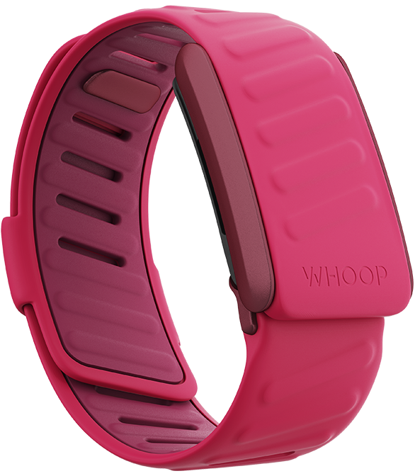 SportFlex Silicone Pace Color Band for WHOOP Bands at Strapco Store  Discover the SportFlex silicone Pace Color band for WHOOP bands at Strapco Store, designed to enhance your WHOOP® 4.0 experience.