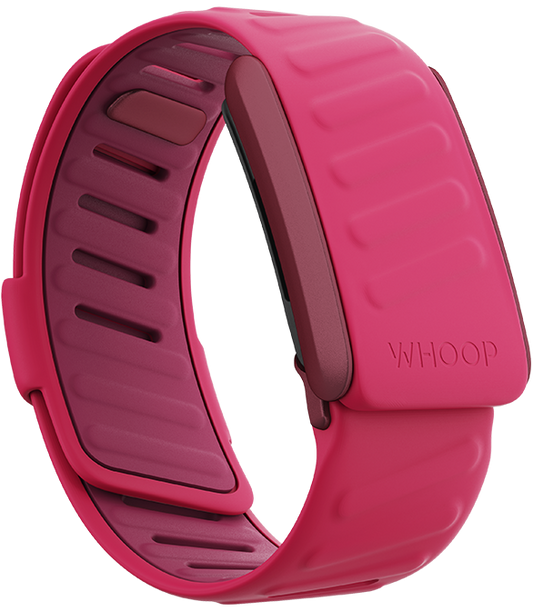 Cinturino gear fit 2 pro originale best sale