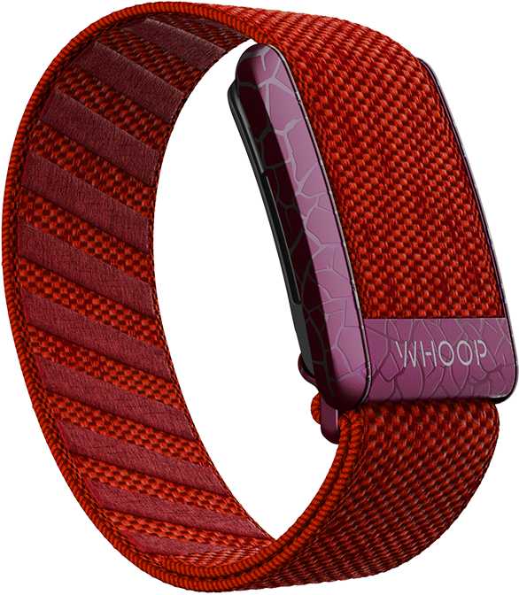 Ignite your style with the Electric Scarlet SuperKnit Band, exclusively at Strapco Store in Qatar. Power up your wrist with Whoop Bands and Straps, a dynamic fusion of fashion and functionality. Explore the Electric Scarlet collection for a bold statement in red! 🔥🛍️ #StrapcoStore #Whoop #WhoopBands #WhoopStraps #ElectricScarletSuperKnit #QatarFashion"