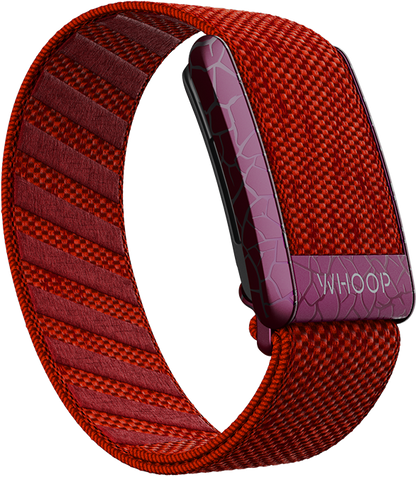 Ignite your style with the Electric Scarlet SuperKnit Band, exclusively at Strapco Store in Qatar. Power up your wrist with Whoop Bands and Straps, a dynamic fusion of fashion and functionality. Explore the Electric Scarlet collection for a bold statement in red! 🔥🛍️ #StrapcoStore #Whoop #WhoopBands #WhoopStraps #ElectricScarletSuperKnit #QatarFashion"