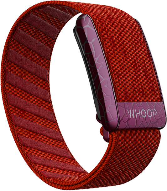 Ignite your style with the Electric Scarlet SuperKnit Band, exclusively at Strapco Store in Qatar. Power up your wrist with Whoop Bands and Straps, a dynamic fusion of fashion and functionality. Explore the Electric Scarlet collection for a bold statement in red! 🔥🛍️ #StrapcoStore #Whoop #WhoopBands #WhoopStraps #ElectricScarletSuperKnit #QatarFashion"